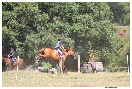 IMG 7880