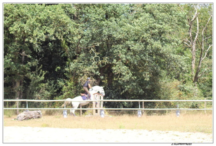 IMG 7895