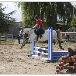 CSO DERBY Gétigné