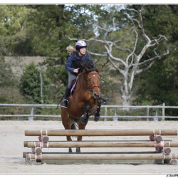 CSO-Derby Gétigné