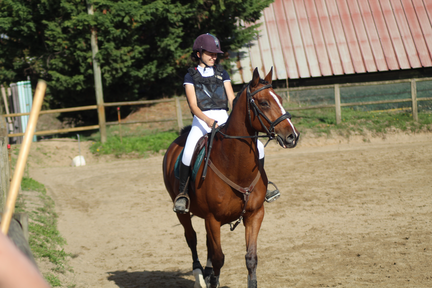image06581