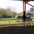 IMG 0086
