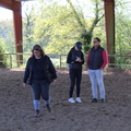 IMG 0090