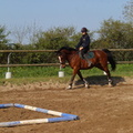 IMG 0096