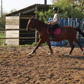 IMG 0099