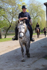 IMG 0114