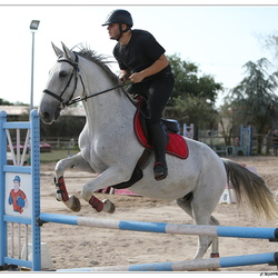 CSO Derby Getigne