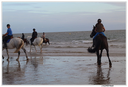 image00018