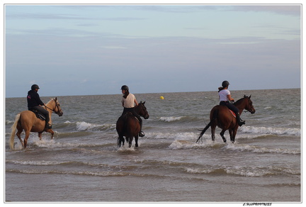 image00028