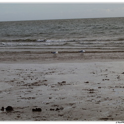 Plage 2023
