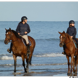 Plage 2024