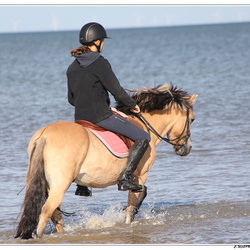 La plage 2026